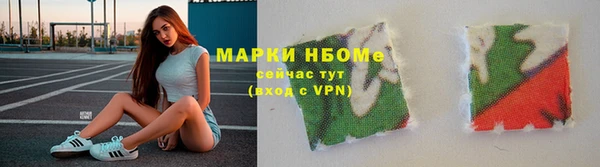 индика Лабытнанги