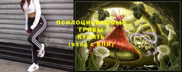 дживик Алексин