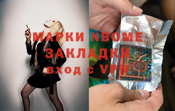 индика Лабытнанги