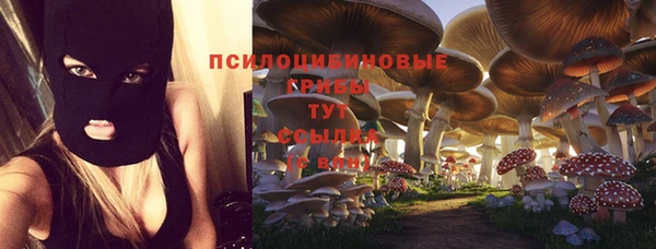 соль курить ск Алексеевка