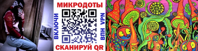 Псилоцибиновые грибы Psilocybine cubensis  Томск 