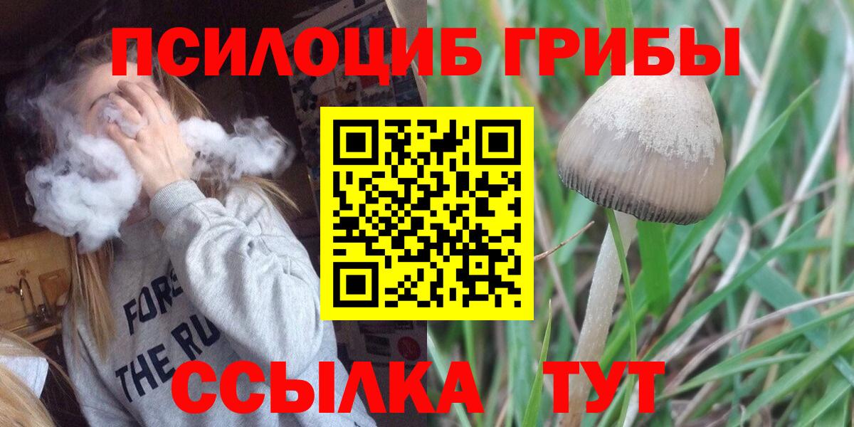 Галлюциногенные грибы GOLDEN TEACHER  Вход с VPN  Томск 